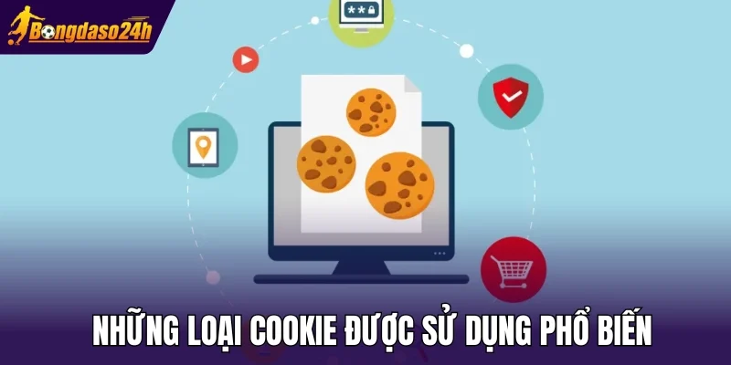 Những loại Cookie được sử dụng phổ biến