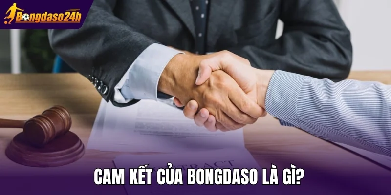 Cam kết của Bongdaso là gì?