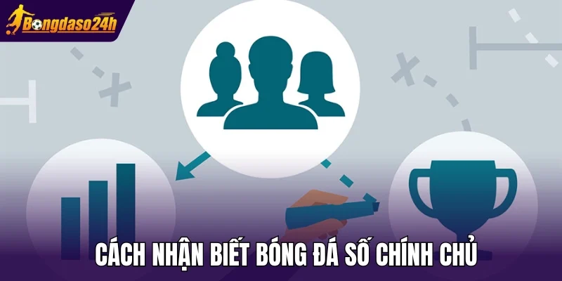 Cách nhận biết Bóng Đá Số chính chủ