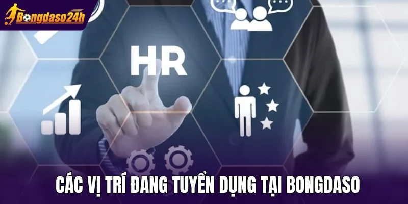 Các vị trí đang tuyển dụng tại Bongdaso
