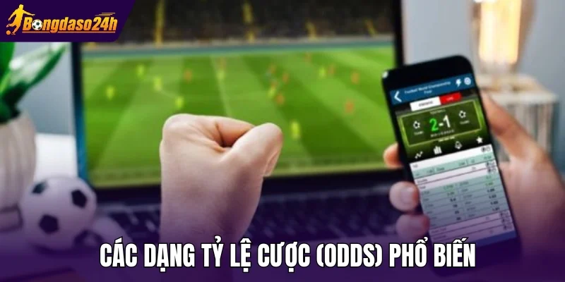 Các dạng tỷ lệ cược (Odds) phổ biến