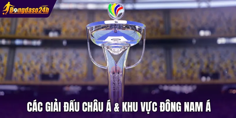 Các giải đấu Châu Á & Khu vực Đông Nam Á được quan tâm