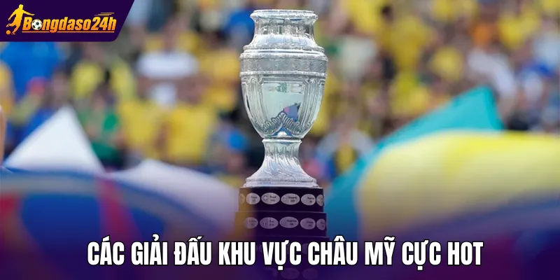 Các giải đấu khu vực Châu Mỹ cực hot