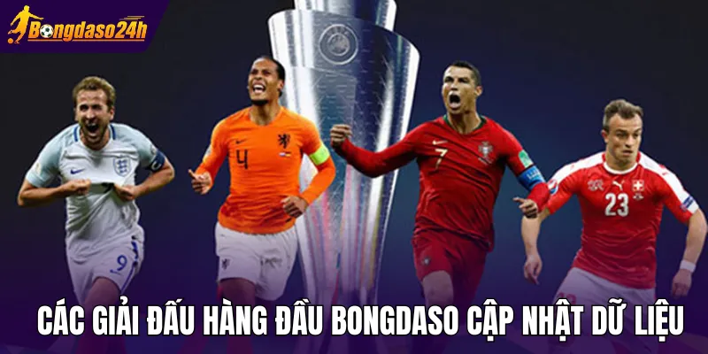 Tổng hợp các giải đấu hàng đầu được Bongdaso cập nhật dữ liệu