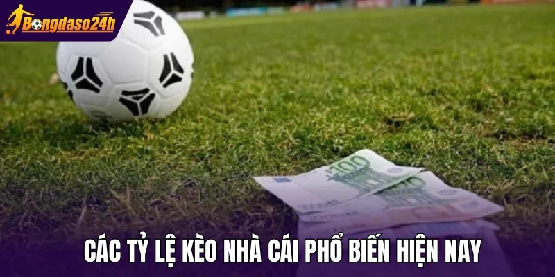 Các tỷ lệ kèo nhà cái phổ biến hiện nay