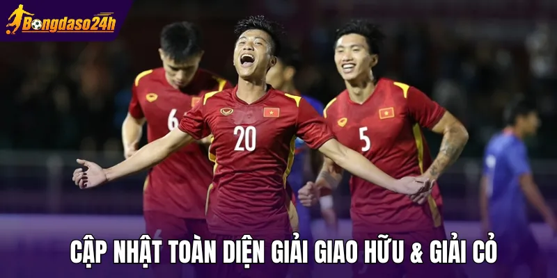 Cập nhật toàn diện giải giao hữu & giải cỏ