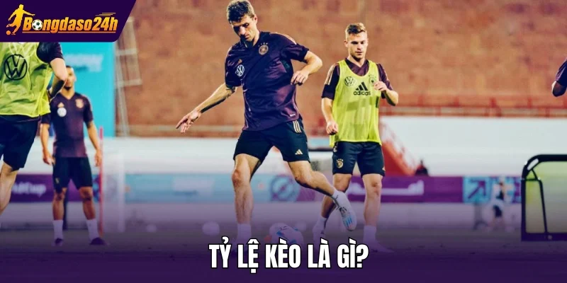 Tỷ lệ kèo là gì?