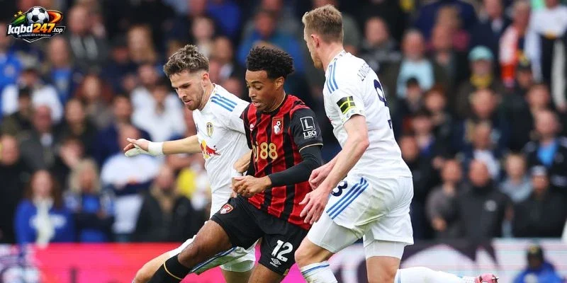 Cầu thủ ra sân đến từ Bournemouth vs Leeds United